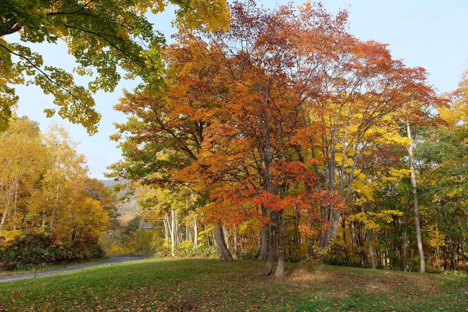 Yunosatochusha Park Autumn 2