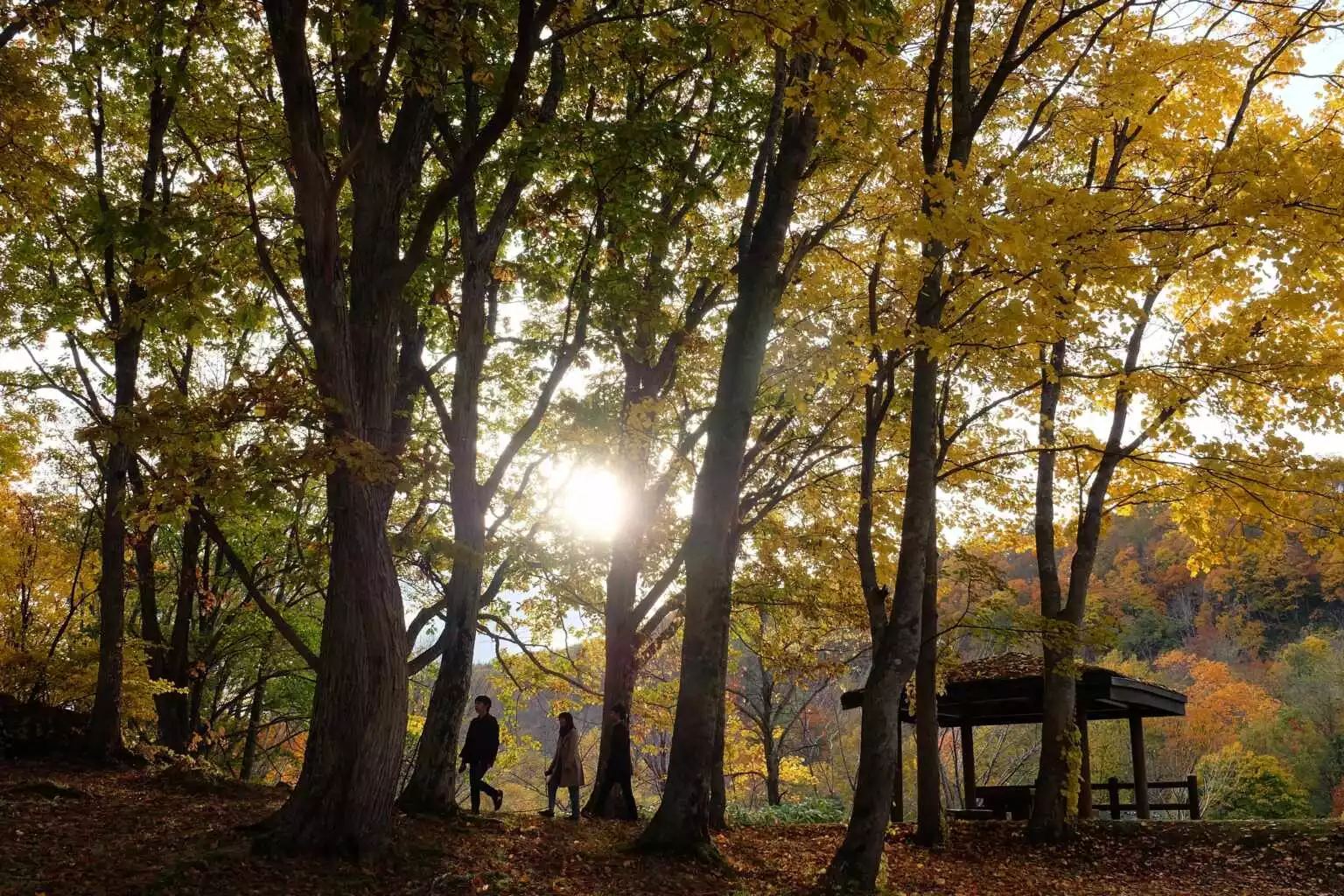 Yunosatochusha Park Autumn 4