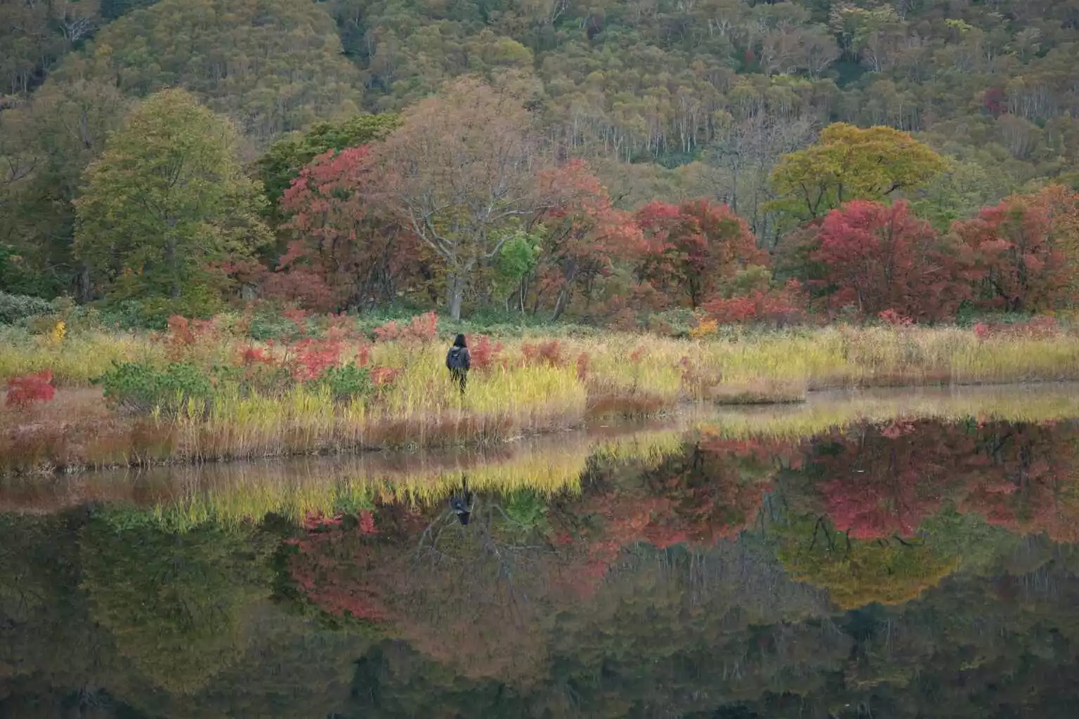 Kagami numa Autumn 1