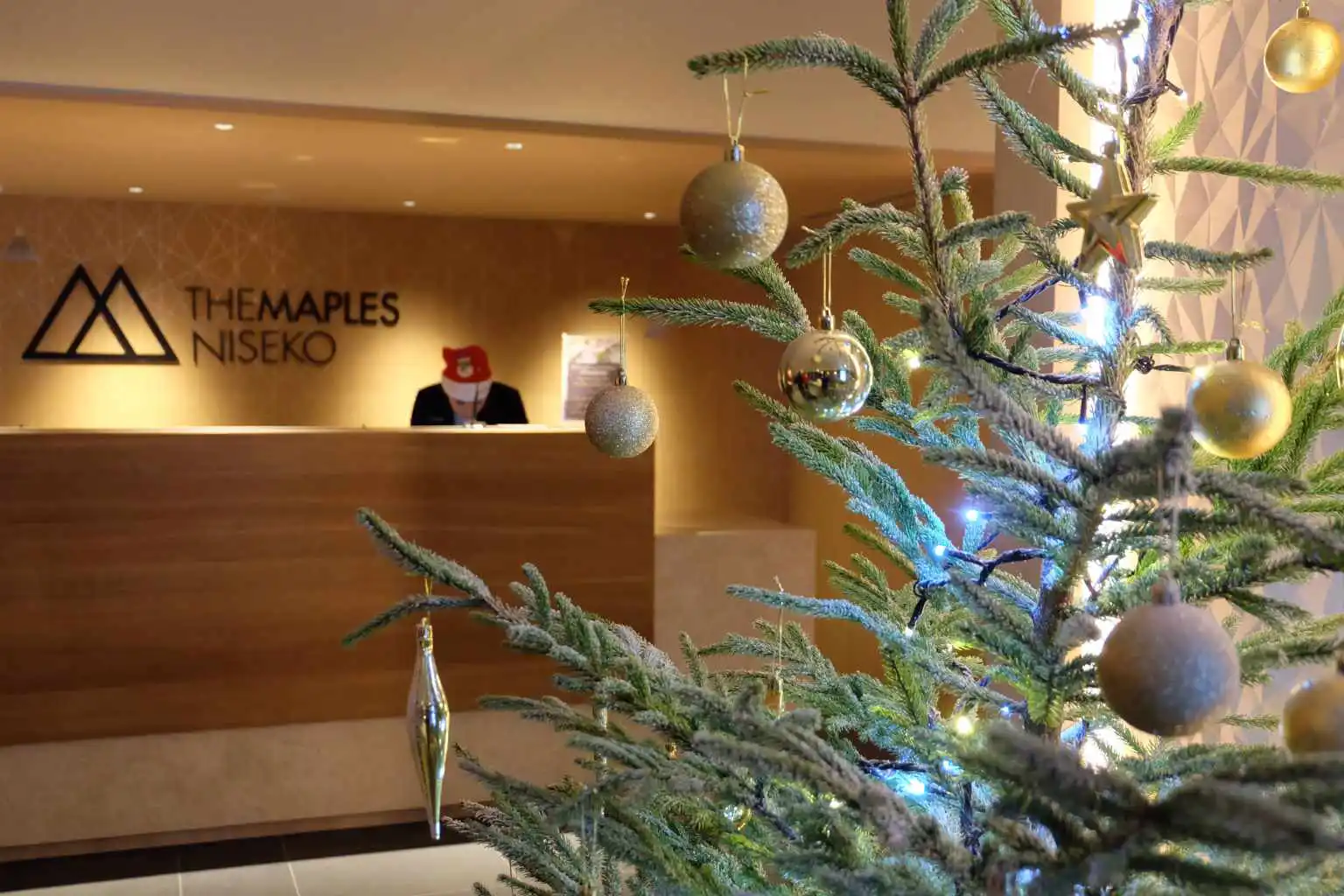 Christmas Event The Maples 2018 17