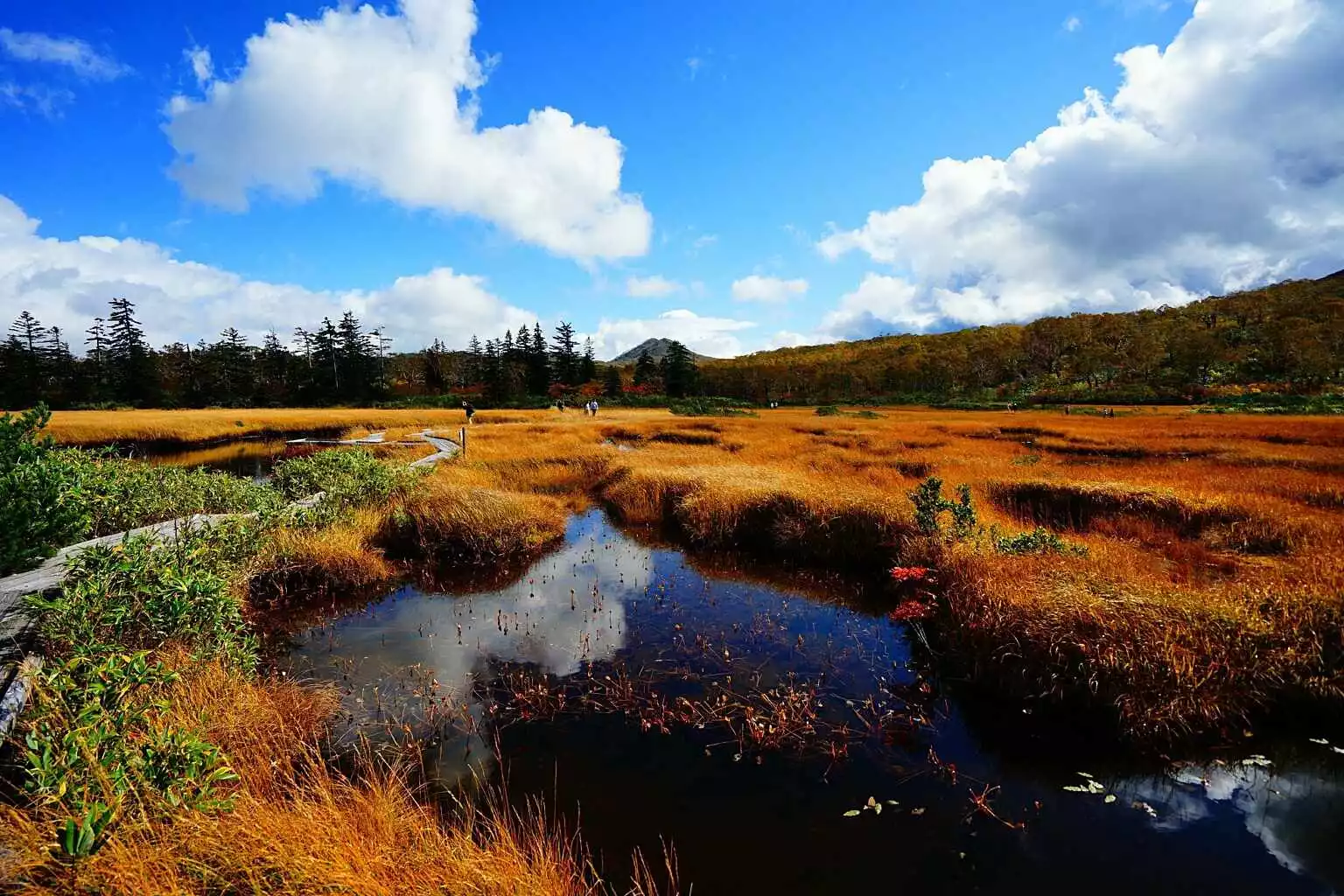 Shinsen numa Autumn Good Hokkaido Holiday 1