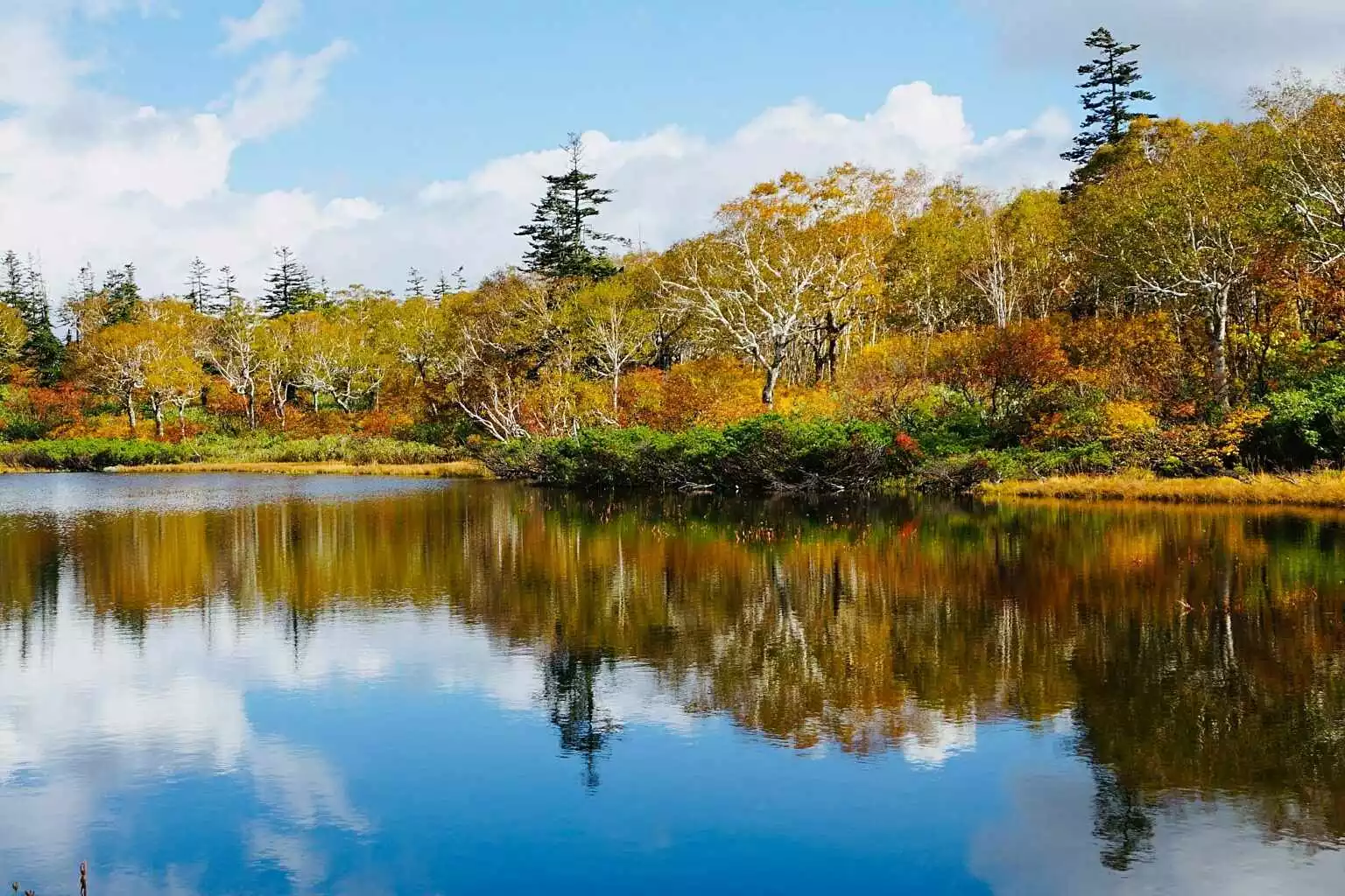 Shinsen numa Autumn Good Hokkaido Holiday 2