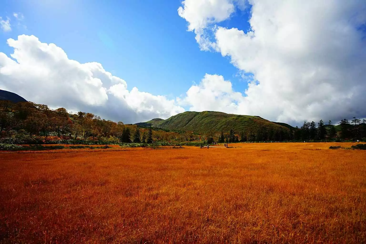 Shinsen numa Autumn Good Hokkaido Holiday 3