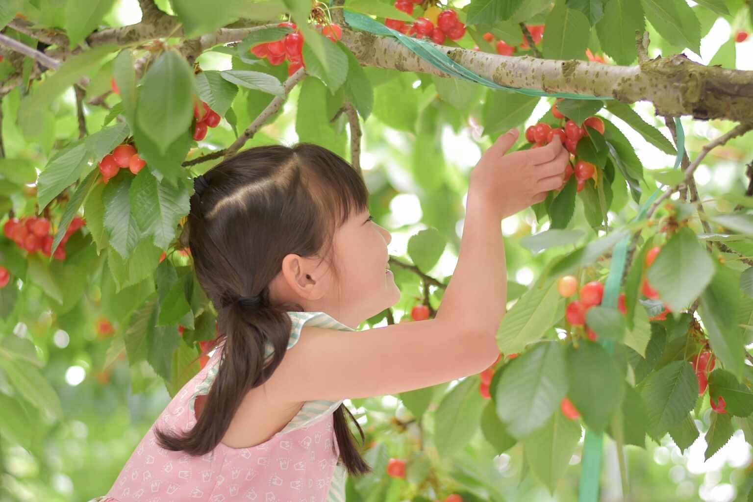 Cherry picking