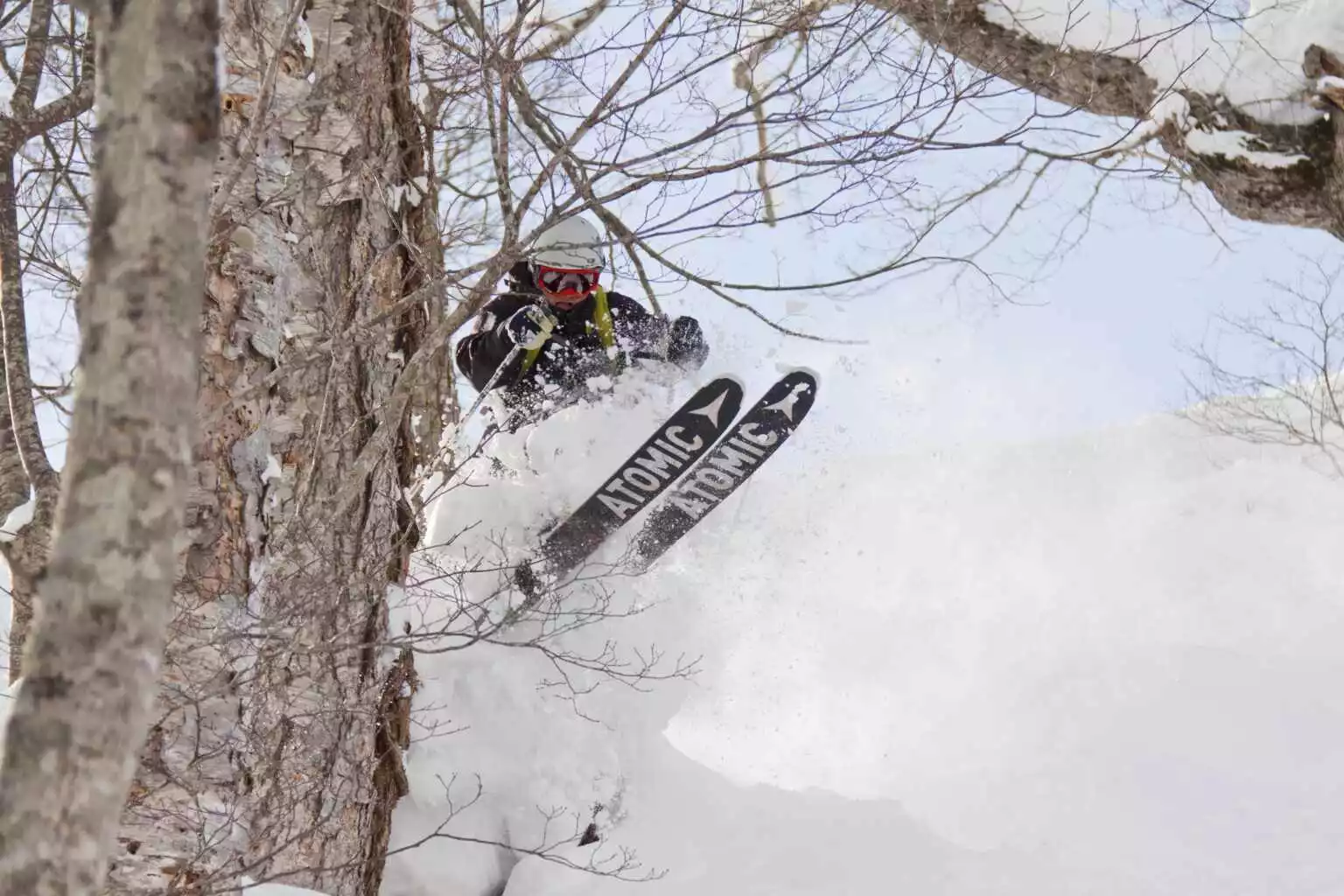 Niseko hanazono powder ski 8634338656 o