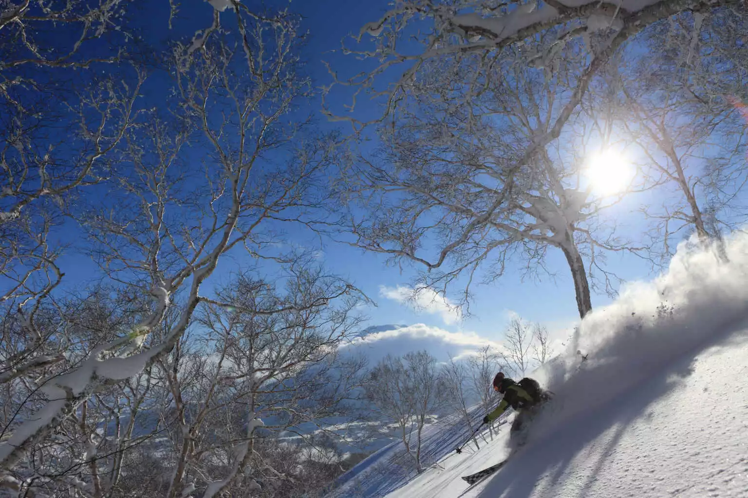 Niseko hanazono powder skiing 2 30086169650 o