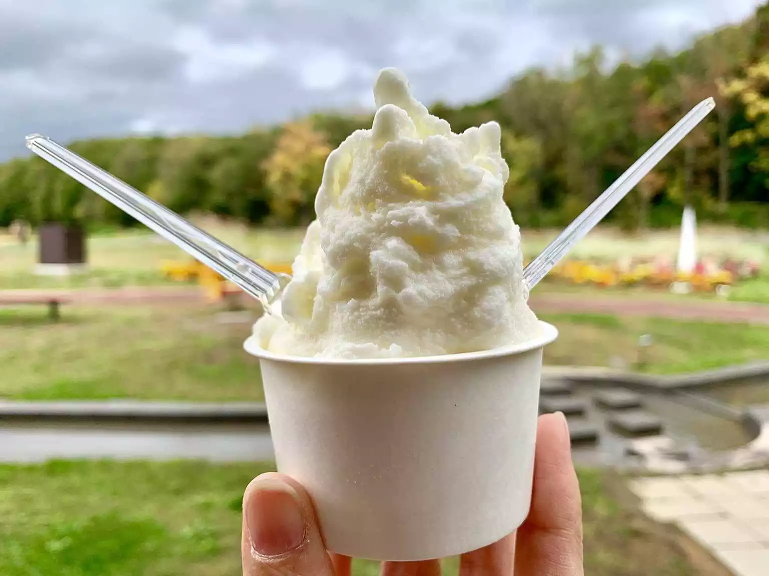 Akaigawa Michinoeki Rice Ice Cream