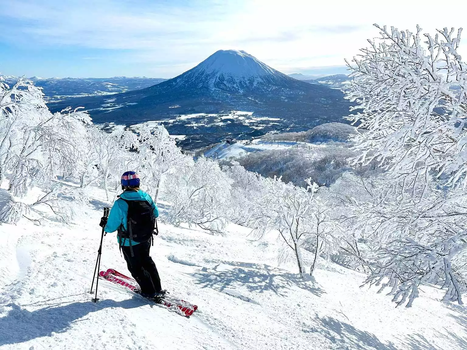 Powderhounds Niseko 2024 34