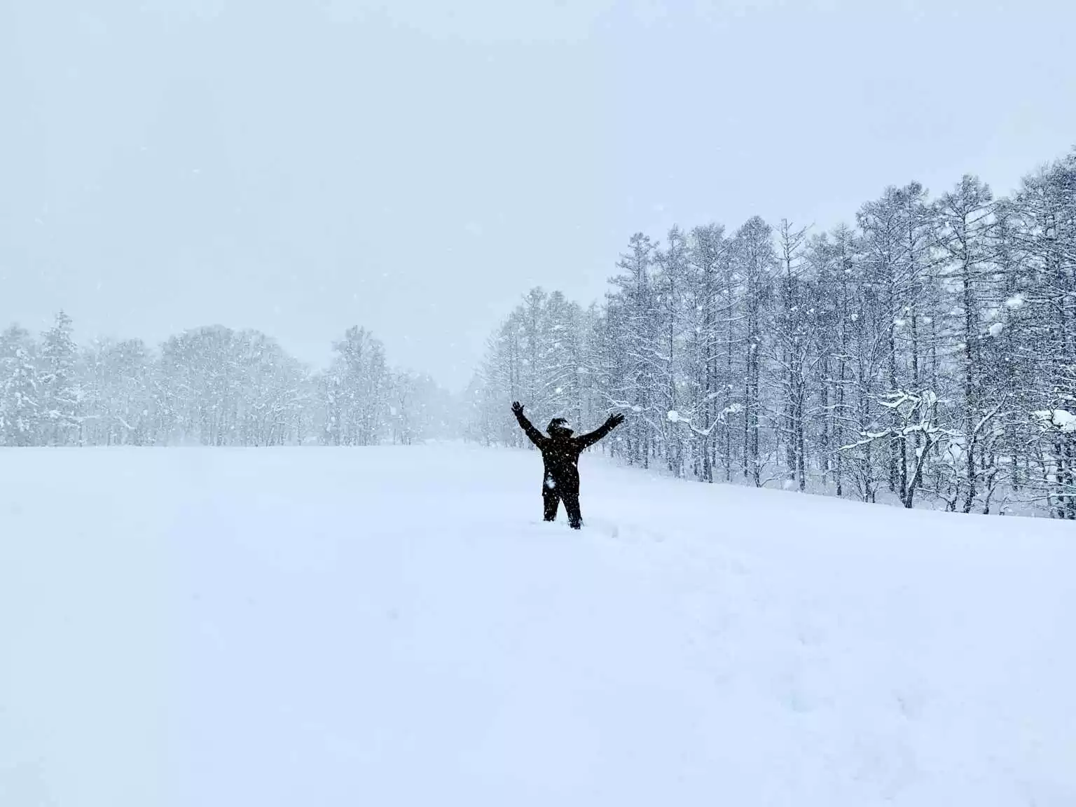 Standing in the snow