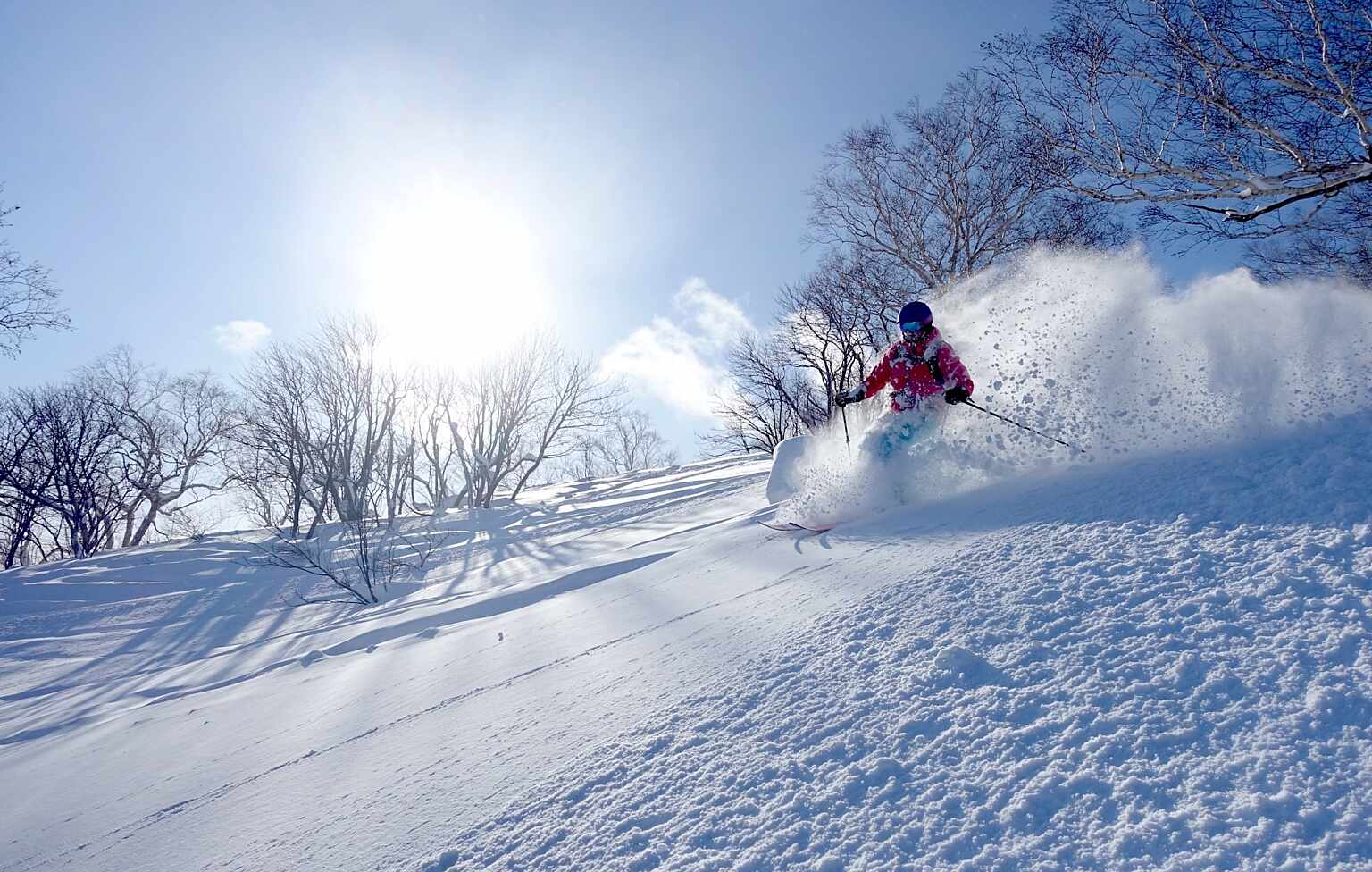 Powderhounds Niseko 2024 9