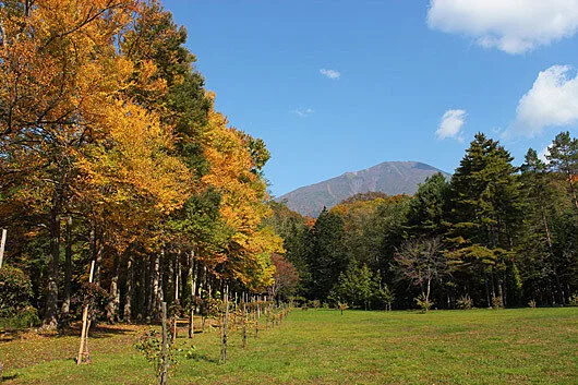 Makkari Jumokuen Autumn Shiribeshi Promotion Bureau 1