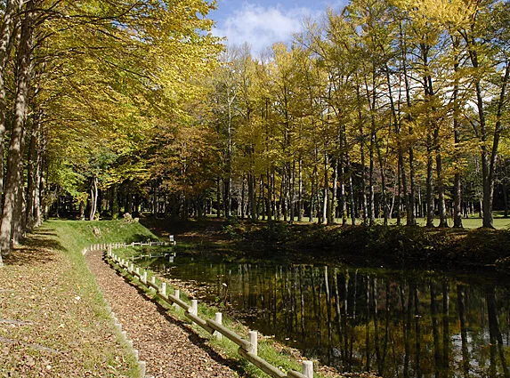 Makkari Jumokuen Autumn Makkari Town