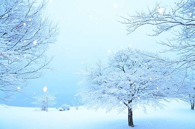 Snowy scene