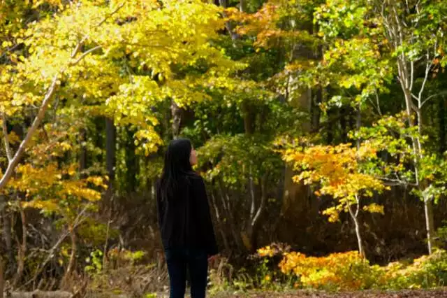Makkari jumokuen arboretum autumn woman enjoying foliage