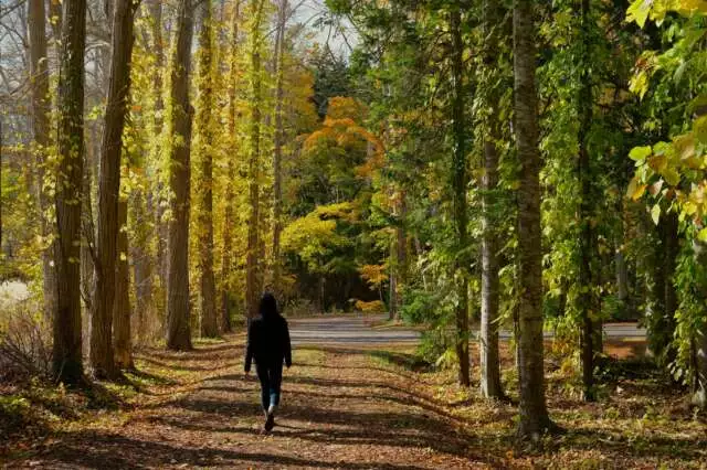 Makkari jumokuen arboretum autumn woman walking path