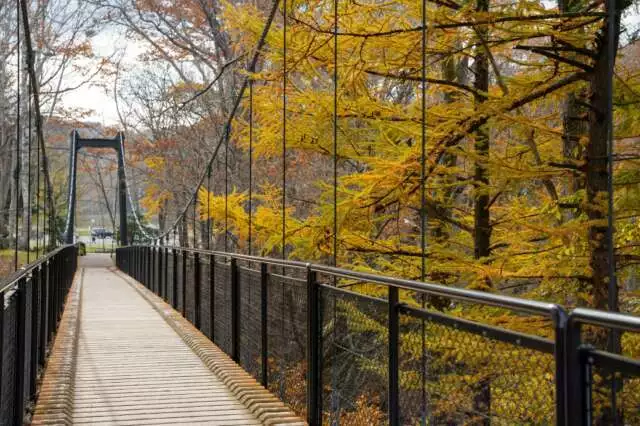 Fukidashi park autumn yellow leaves bridge
