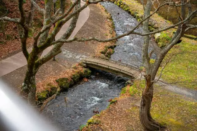 Fukidashi park autumn creek bridge brown leaves