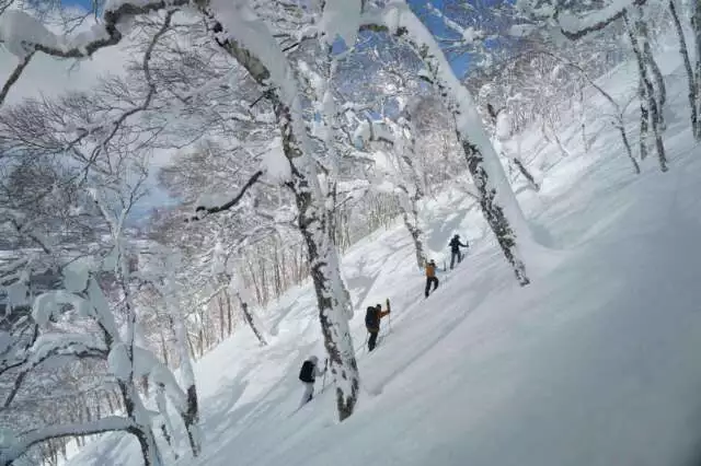 Backcountry Skiing Winter Hokkaido