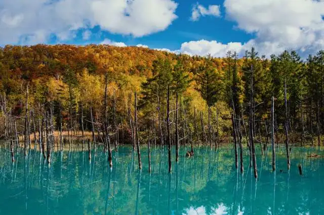 Blue Pond