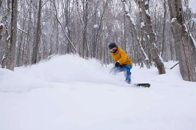Hanazono Resort Niseko Snowboarding Powder Snow Tree Runs