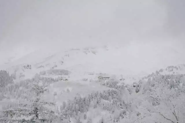 Niseko Winter Backcountry