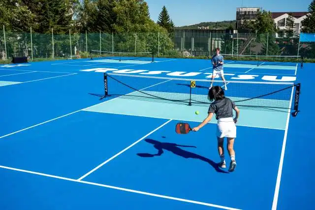 Rusutsu Resort Pickleball