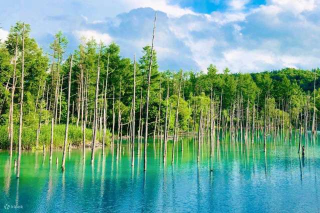 Shirogane Blue Pond
