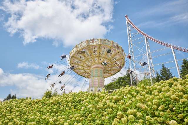 Wave Swinger