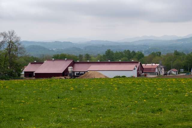 Yuko Takai Takahashi Farm 03