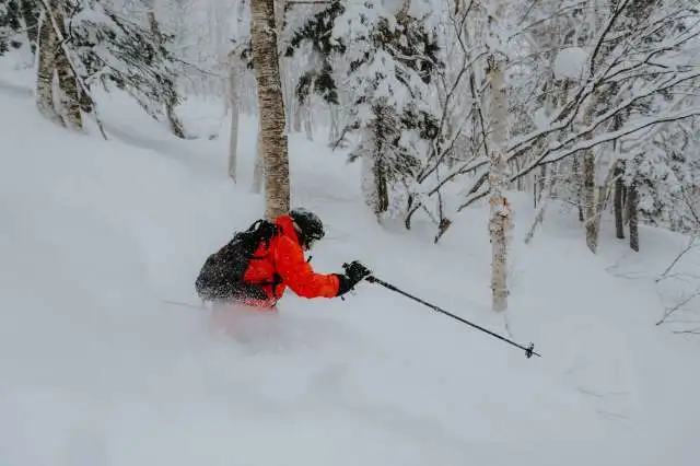 Furano ski resort skier riding powder