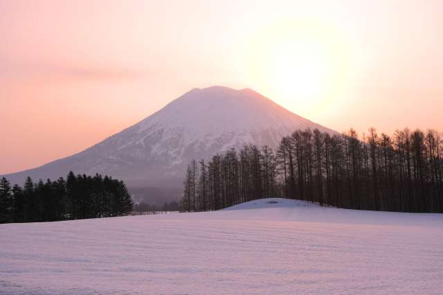 Quiet farmland sunrise mount yotei winter