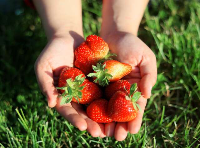 Strawberry