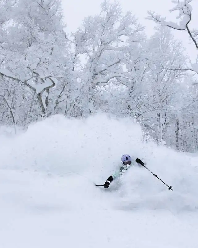 Powder Skiing Tree Run