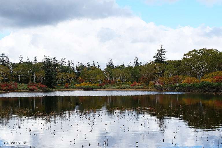 Shinsennuma Marsh 1 By Pim