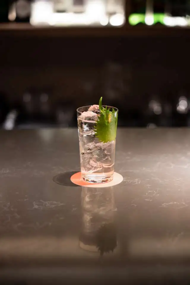 Cocktail Pirate