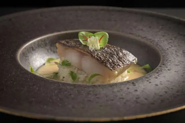 Aó RA Shio Koji Black Cod photo credit Aaron Jamieson