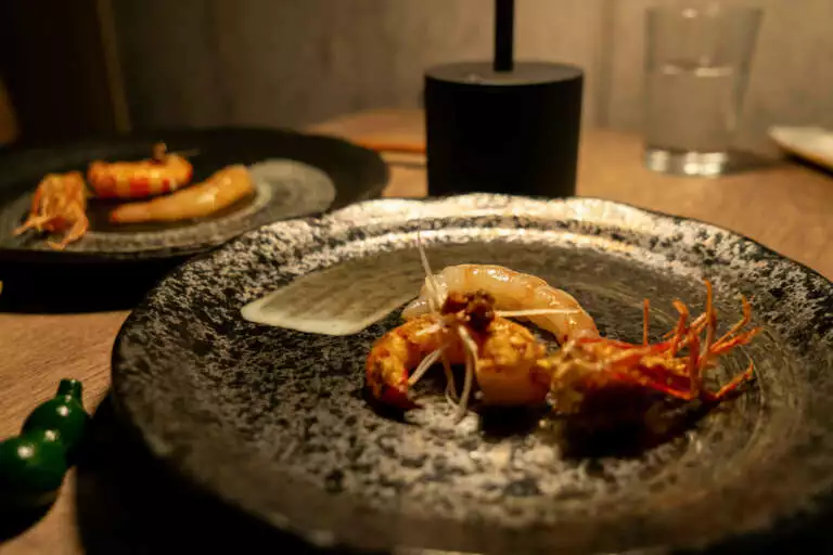 20230302 TMN Roketto 24