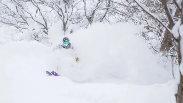 Featured Image PROMO Winter 2021 22 Pandemic Powder Sale